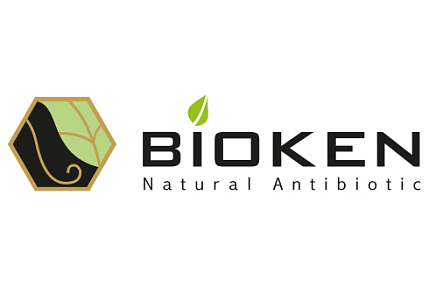 Презентация продукции